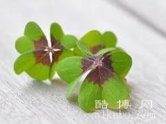 带来运气最好的网名，好听又幸运/精选好运气网名50个