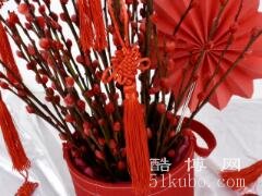 银柳摆放禁忌:忌干燥环境/强光照射会死亡(附图片)