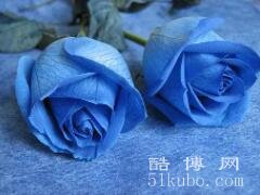 蓝玫瑰代表什么意思，花语稀世真爱/适合送挚爱