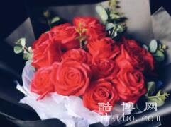 19朵玫瑰代表什么意思，一生只会爱你一人/重拾旧爱
