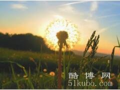 好听幽默的微信备注名字大全，特别又有趣的微信昵称解释