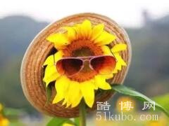 每天保持好心态的说说：积极正能量/充满阳光的句子精选18条
