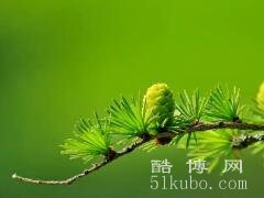 祝老人长寿的贺词，献给高寿老人健康长寿祝福语(爷爷奶奶通用)