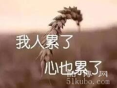 一瞬间情绪崩溃的句子：连声问候都怕是打扰（伤情碎心）
