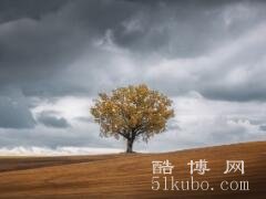 孤独抑郁的名称：软弱的心脏/不再渴望(2022黑暗伤感风格昵称)