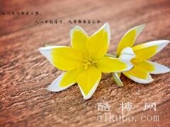 看透人心的悲凉句子：爱总是在最深的时候落幕(精选43句)