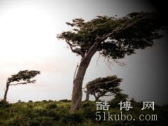 梦见刮大风是什么意思，生活压力大/要适当的放松
