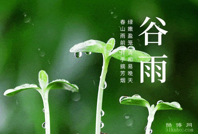 谷雨的美好象征：收获的喜悦/滋润的恩惠/希望