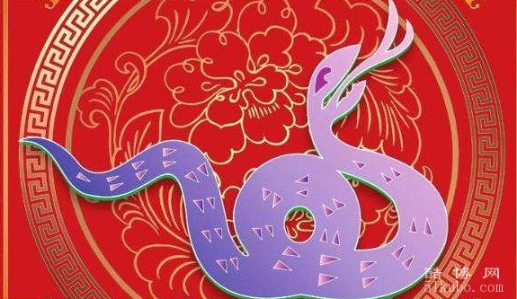 肖中之后是什么生肖动物：生肖蛇/吉祥、幸福、和谐和长寿的象征
