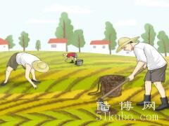 梦见耕种种田代表什么：对未来的希望和期待/收获属于自己的果实