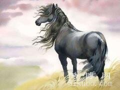属马的最怕的三个生肖：肖鼠/肖鸡及肖兔