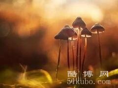 心里住着一个人的说说短语2023精选（牵挂又伤感）