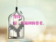 心死的网名：伤感而困惑/表达暗然伤神情绪的昵称