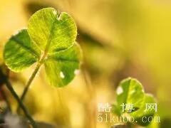 老年人吉利好运抖音名：快乐人生/资深老可爱(最新推荐)
