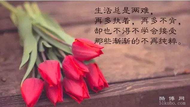 朋友圈说说心情短语人生感悟：句句深透/直击心灵（精选）