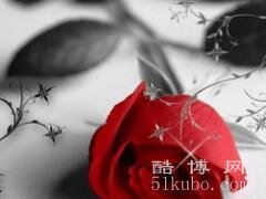 有内涵的个性签名：总有一扇窗/会让你驻足(精选30句)