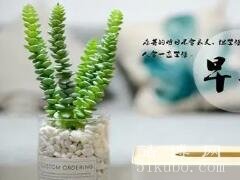 一日一句励志早安语：精辟振奋/早上简短美句正能量语录