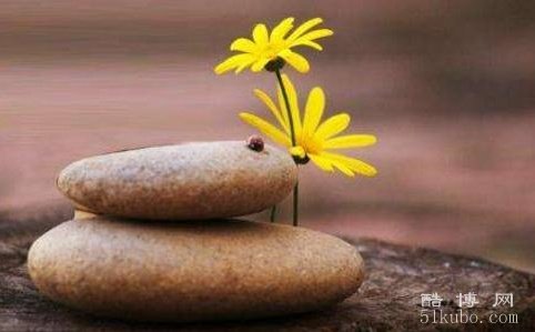 有志气有尊严的网名：简短有气势（执着追梦）
