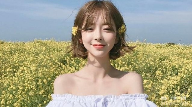 森系小清新女生网名2025：唯美/治愈系十足（精选53个）