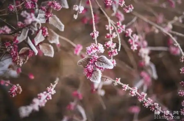 冬天的句子短句唯美文案：温暖又治愈（精选34句）