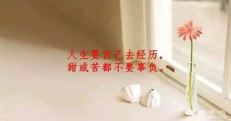高冷又随性的句子2025：个性有魅力（精选25句）