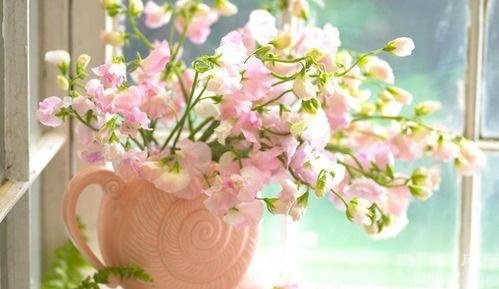 简单生活心态的句子：阳光好听（精选30句）