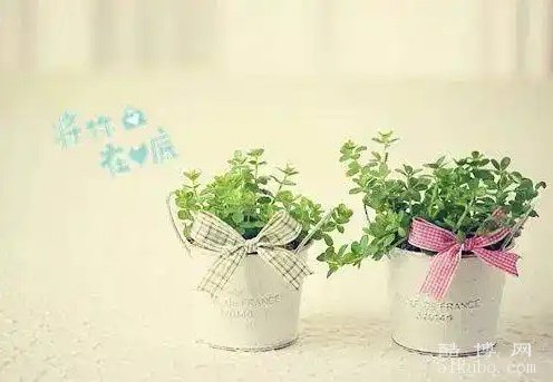 放松心情发朋友圈的句子：简短唯美好听（精选）