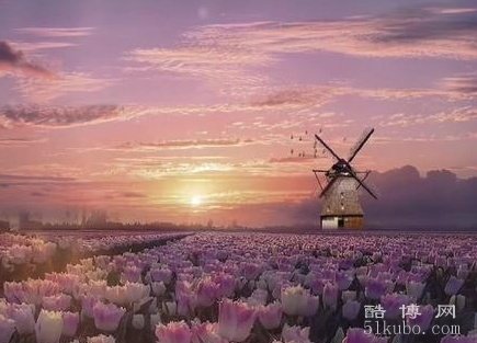 又拽又入心的句子发朋友圈说说：时髦潮流又深入人心（精选24句）