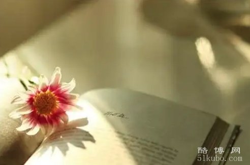 大彻大悟的精美句子,句句经典（2025精选）