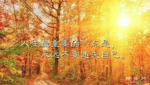 微笑阳光好心态的句子：干净唯美（精选