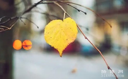 50多岁大年龄人的网名：好听有品位(精选）