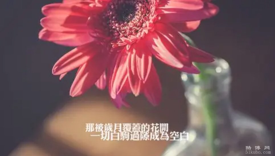 霸气冷酷的qq个性签名：潇洒洒脱（精选）