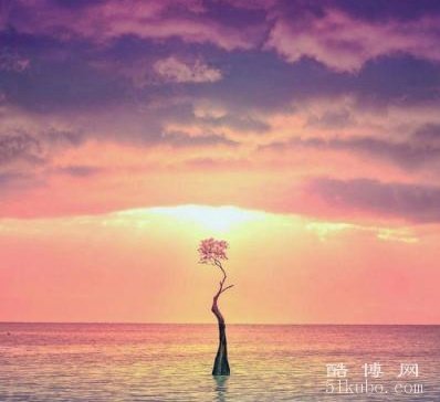 2025最吉利的生肖：鸿运当头/吉星高照（生肖牛）