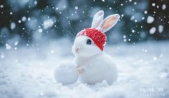 高情商下雪幽默说说简短精选：反向玩梗/意外暖心（助你轻松打造朋友圈“雪天王”人设）