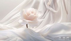 属猪白羊座女生性格：行动派/独立与果敢的践行者