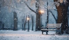 适合第一场雪发的句子图片：让雪的浪漫，送去我温馨的思念（唯美又暖心）