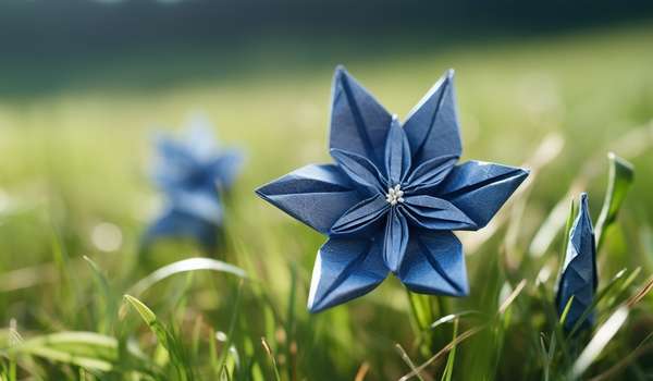 龙胆花的花语是什么 独家大揭秘龙胆花神秘花语惊人真相