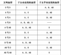 血型遗传规律表,可以预测未来孩子可能的血型