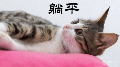 躺平是什么意思，躺平的意思详解（ 网络用语）