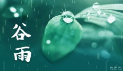 谷雨是什么意思：雨生百谷/降水增多有利谷类农作物生长