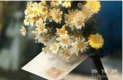 悼念刚离去的亲人句子：一别再无归期您长眠我常念（沉重悼念精选18句）