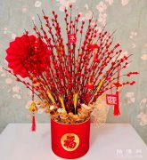 银柳的花语和寓意：渴望自由/无拘无束/超然洒脱/招财进宝