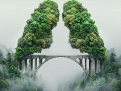 重阳登高寓意;登高望远步步高升/长久长寿