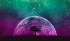 取一个伤感的网名女生版：青丝成雪、暮色苍凉（诗意伤感）